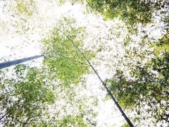 -宝岩生态观光园