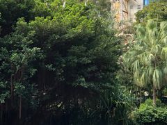 -九龙公园