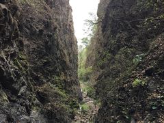 -雾灵西峰
