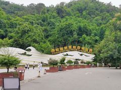 -西双版纳原始森林公园