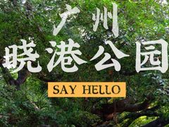 -晓港公园