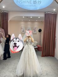 -韩国天使嫁衣婚纱礼服馆(上海旗舰店)