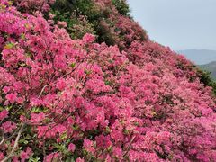 -木兰云雾山
