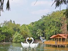 -深圳野生动物园