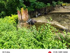 -沈阳森林动物园