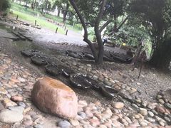 -成都市活水公园
