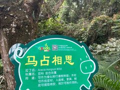 -呀诺达热带雨林