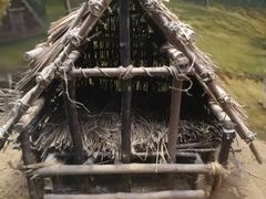 -太阳部落