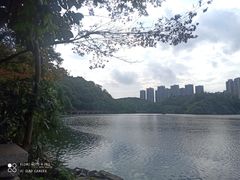 -重庆彩云湖湿地公园