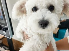 -美联众合动物医院·24h京西诊疗中心