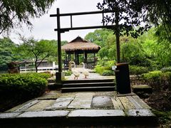 -兰亭风景区