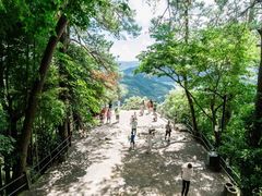 -溪口-滕头旅游景区