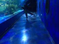 -常州海昌海洋探索馆