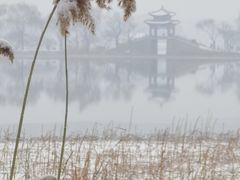 -颐和园