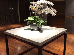-广州白云机场雅高铂尔曼大酒店