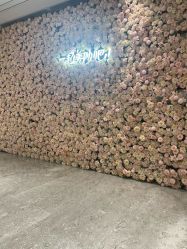 点击看大图 -深圳米兰柏羽医疗美容医院