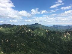 -大岭沟猕猴桃谷风景区