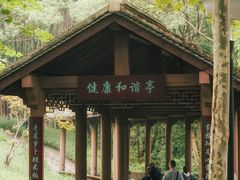 -重庆彩云湖湿地公园