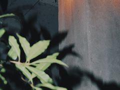 -二楼南书房