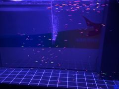 -迪迪派KTV(创业大厦店)