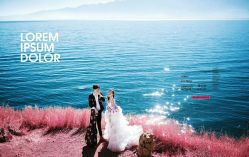 -薇光映画摄影美学馆