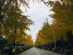 -四川大学(望江校区)