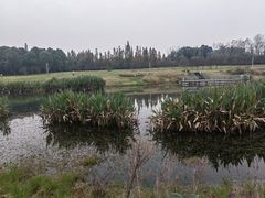 -两河城市森林公园