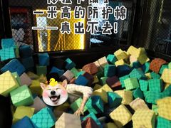 -核客极限挑战