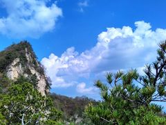 -王顺山国家森林公园