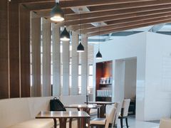 -虹桥机场国航贵宾室v8