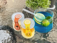 -柴犬高等学院·狗咖·柴犬售卖·宠物训练