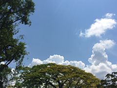 -新加坡总统府