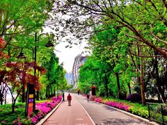 -北外滩滨江绿地