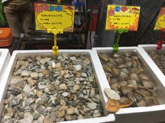 -蚝专家(北滘店)