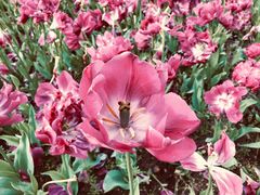 景点-静安雕塑公园