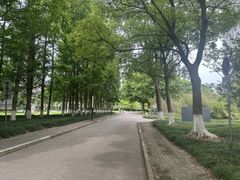 -上海第二工业大学(金海路校区)