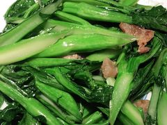 -大榕树下顺德菜(融创茂店)