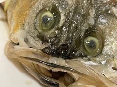 -百姓家常菜(县前街店)