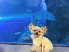 -太平洋海底世界