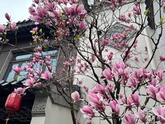 -老门东历史文化街区