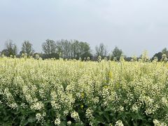 -中国天府农业博览园