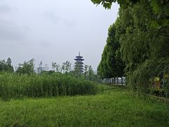 -洋湖国家湿地公园