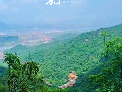 -南海湾森林生态园