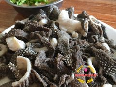 爆肚-宝瑞门钉肉饼店
