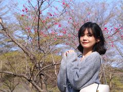 -田野绿世界