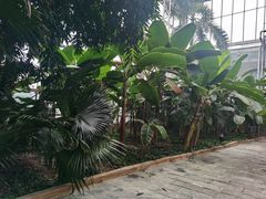 -龙达温泉生态城