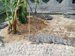 -石家庄市动物园