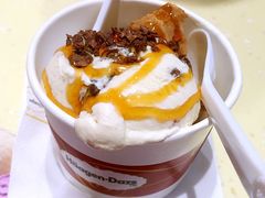 哈根达斯-哈根达斯(陆家浜路店)