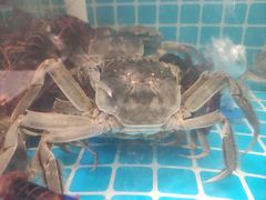 -韩胜·料理级自助烤肉海鲜火锅(财富港店)