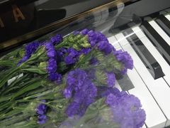 -梅纳·钢琴声乐架子鼓Mena Music(双井店)